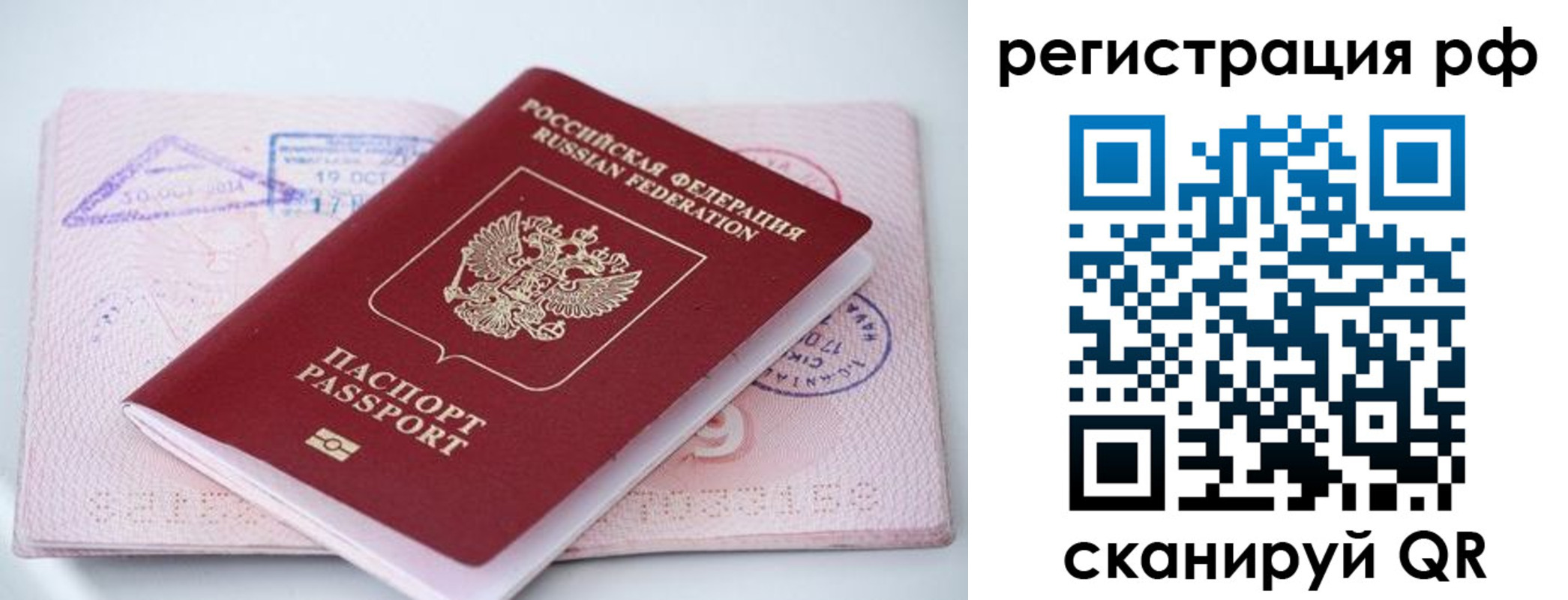 прописка штамп в Мончегорске